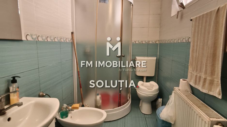 Casă cu potențial + casă de vară, Recea, la intrarea dinspre Baia Mare - Poză 7