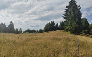 Teren intravilan de 200 ari la 1 km de lacul Colibița - Poză 5