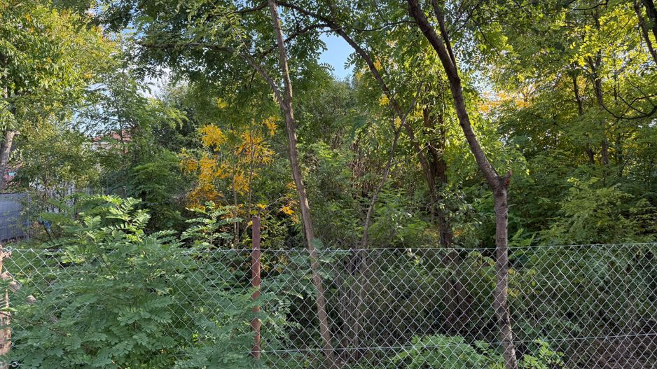 COMISION 0 % | Teren Intravilan de Vanzare | Zona Plopi | Investitie - Poză 3