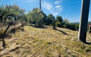 TEREN INTRAVILAN 3234 MP LEREȘTI VOINEȘTI ARGEȘ - Poză 17