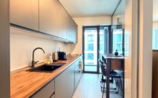 Inchiriere Studio Dublu Cloud 9 Residence Faza 1 Loc Parcare Inclus - Poză 6