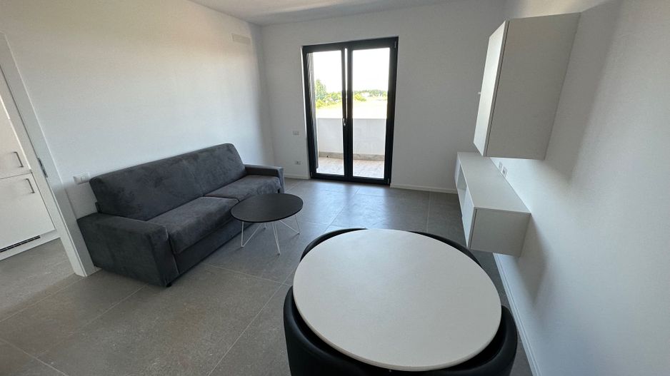 Apartament 1 camere Torontalului - Veterinary Faculty - Poză 2