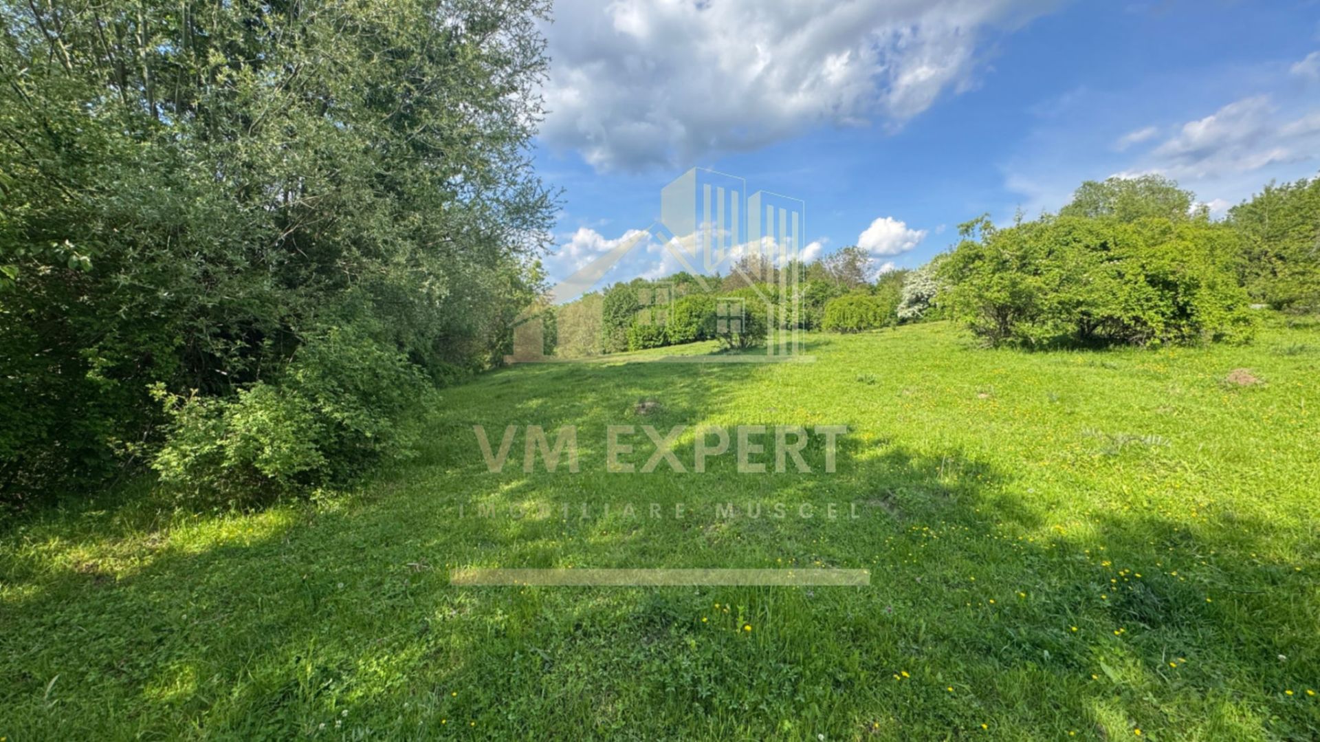 TEREN INTRAVILAN 2943 MP CAMPULUNG - Poză 2
