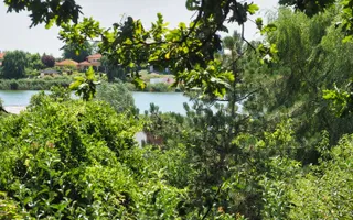 Vila 6 camere-teren 1800mp-Snagov Izvorani-lac - Poză 18