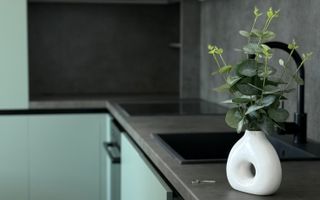 Apartament la cheie / doua camere / Zona Terra - Poză 3