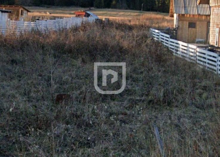 Teren intravilan  – Poiana Stampei 🌲 - Poză 3