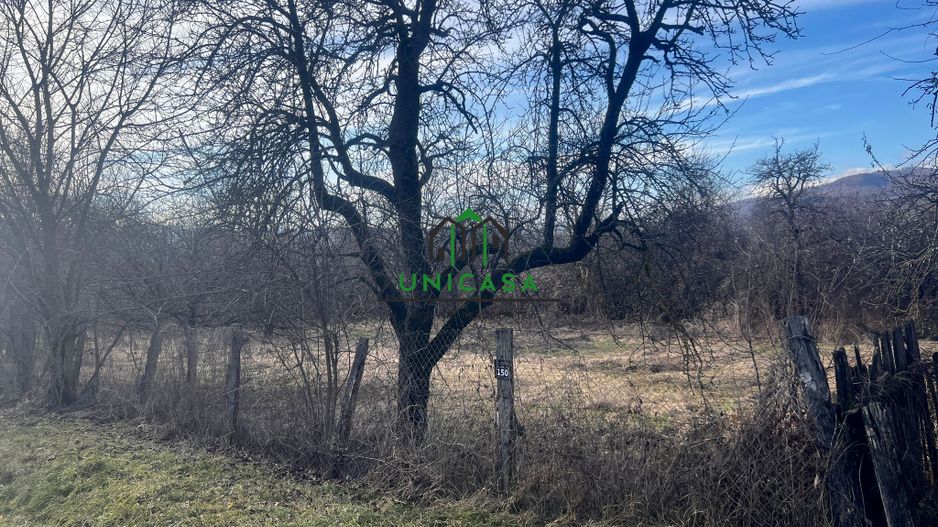 Teren Daesti / 814mp - Poză 2