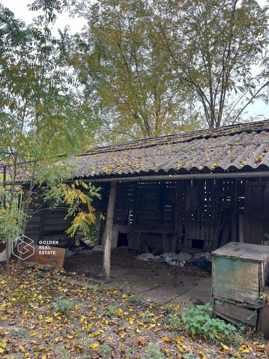 Casa traditionala cu gradina de 2200 mp, Peregu Mic - Poză 5