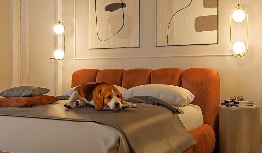 COMISION 0% | Casa Individuala | Zona Mosnita Noua | 4 Camere | - Poză 17