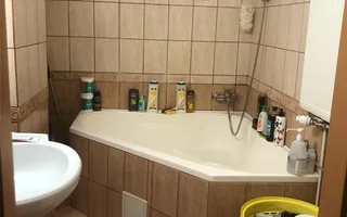 Apart  2 cam  Aradului- Penny parter cu balcon centrala proprie - Poză 18