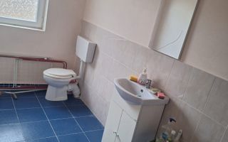 Casa de vânzare in Craciunel la strada principală - Poză 8