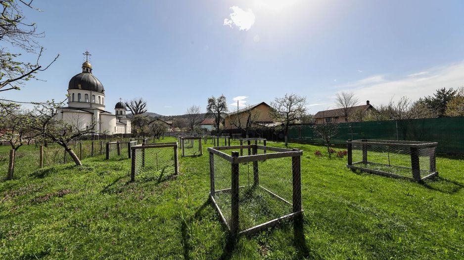 Casă Săsească Autentică cu Șură Impresionantă în Cristian – Teren 2729mp - Poză 11