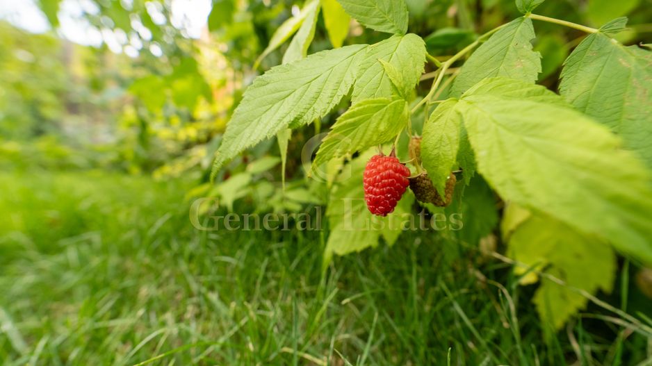 Casa tip Duplex in Critian, Brasov - Poză 18