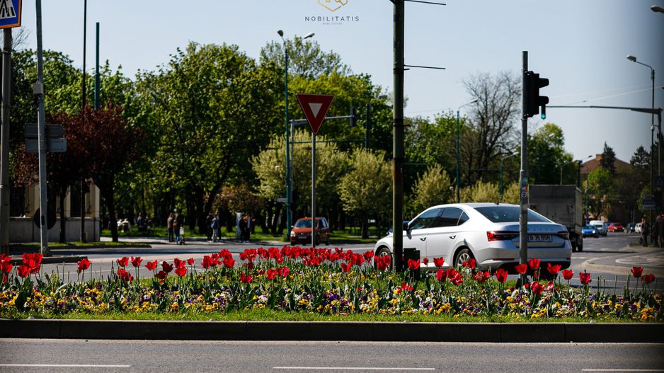 Oferta Inchiriata - Apartament 2 camere | Medicina - Hotel Continental - Poză 22