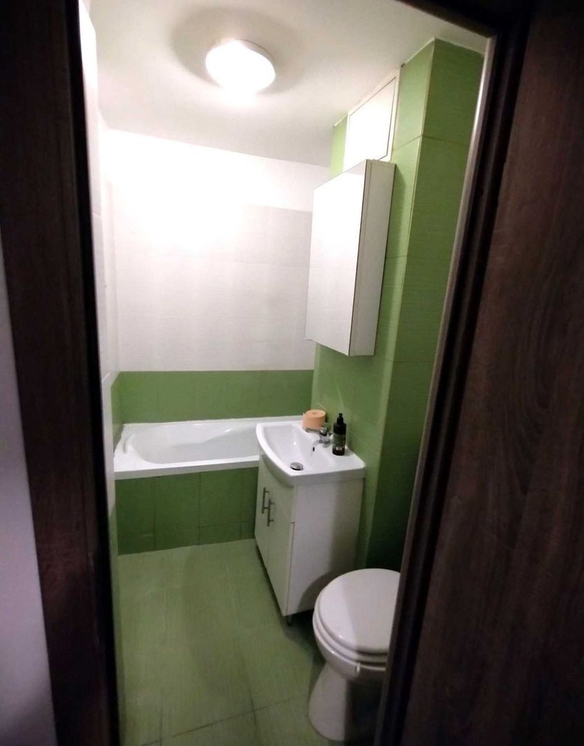 AP. 2 CAMERE TEIUL DOAMNEI, PET-FRIENDLY,REABILITAT, BUCATARIE INCHISA - Poză 6