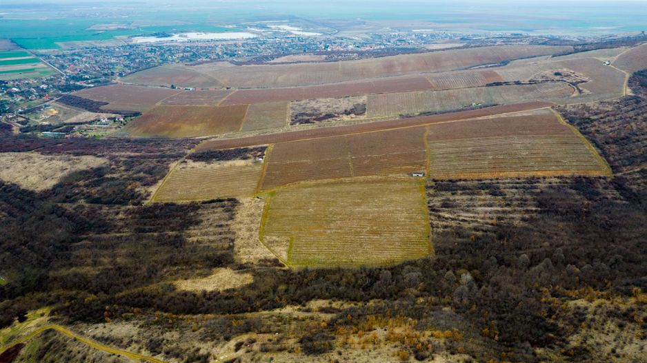 Teren pe deal în Miniș - Poză 4