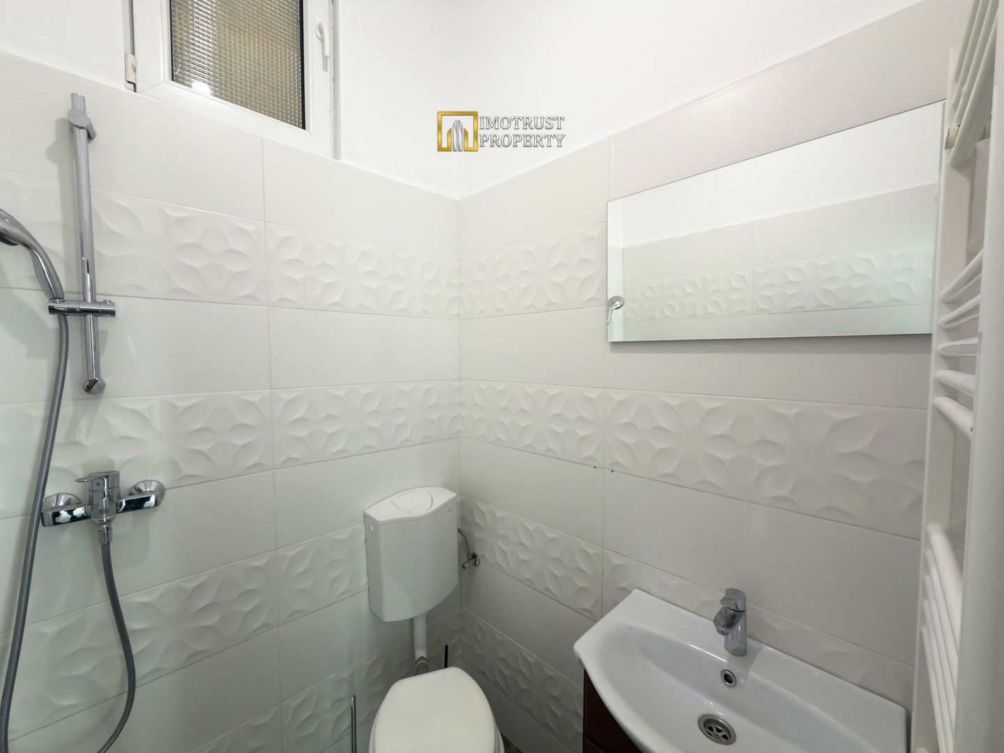 Spațiu Ultracentral de Închiriat – 110 mp – Arad - Poză 7