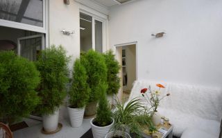 OPORTUNITATE DE INVESTITIE MOTILOR PRETABIL BIROURI ULTRACENTRAL - Poză 3