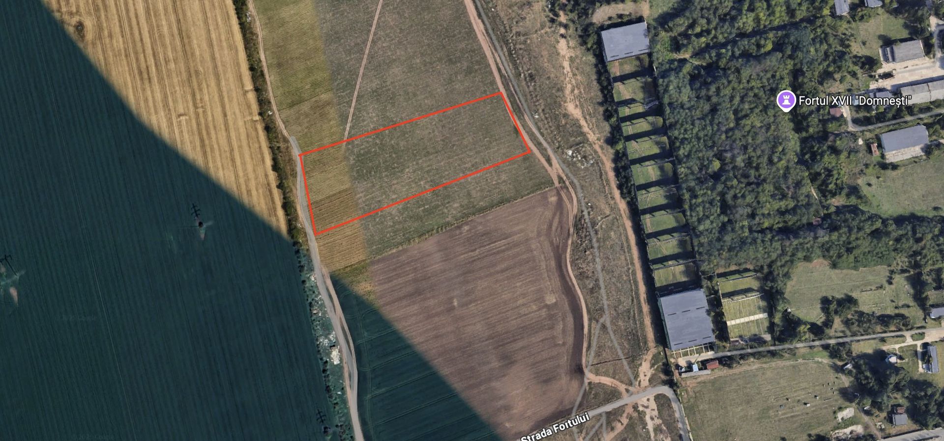 Teren de vanzare Domnești - Str. Narciselor - 20312mp - Poză 2