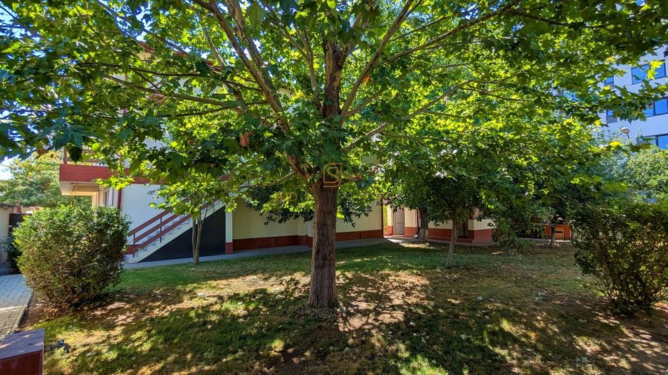 Vila in zona Berceni-Grand Arena, P+1+M, cu 1500 mp teren - Poză 4