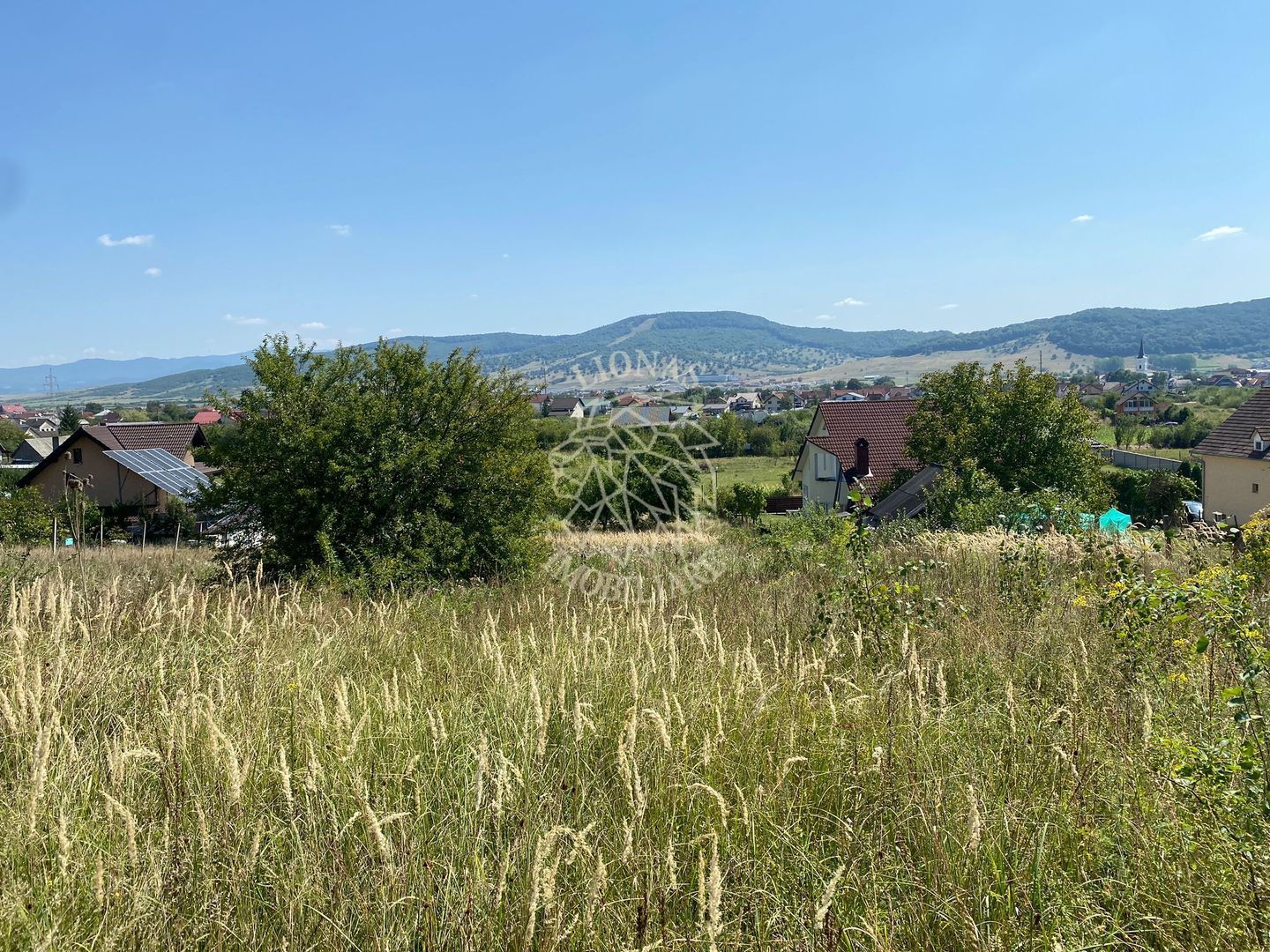 Teren intravilan 1300 mp-parcelabil-Viile cu Pomi-Unirea-Exclusiv - Poză 2