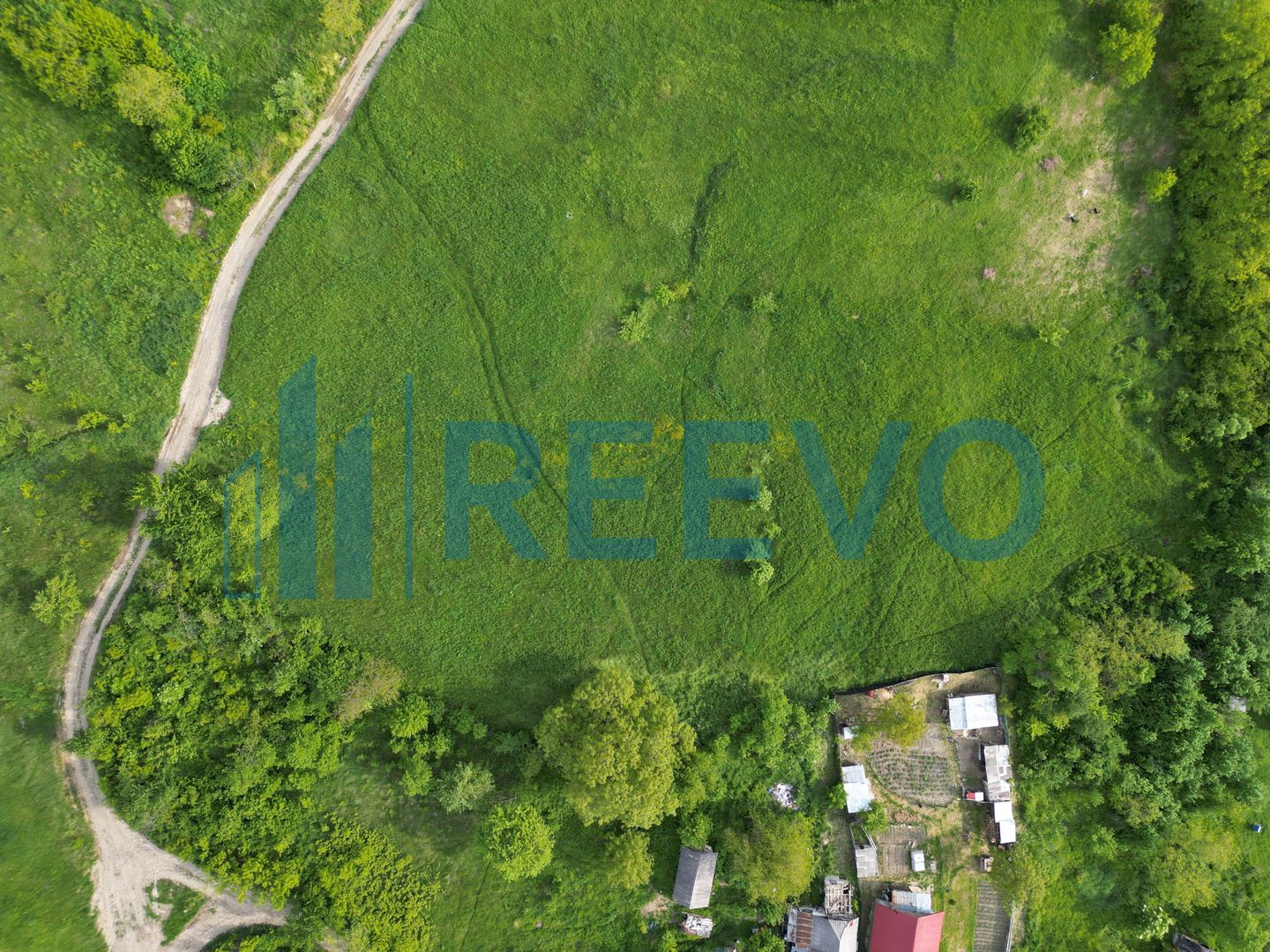 Teren de vânzare, Com. Racova, Str. Bradului, Bacău - Poză 7