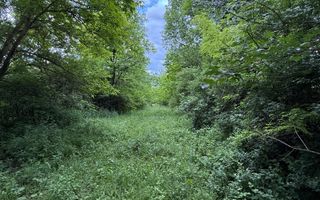 Teren plat-intravilan -3800 mp, cu pădurice și ieșire la râu! - Poză 17