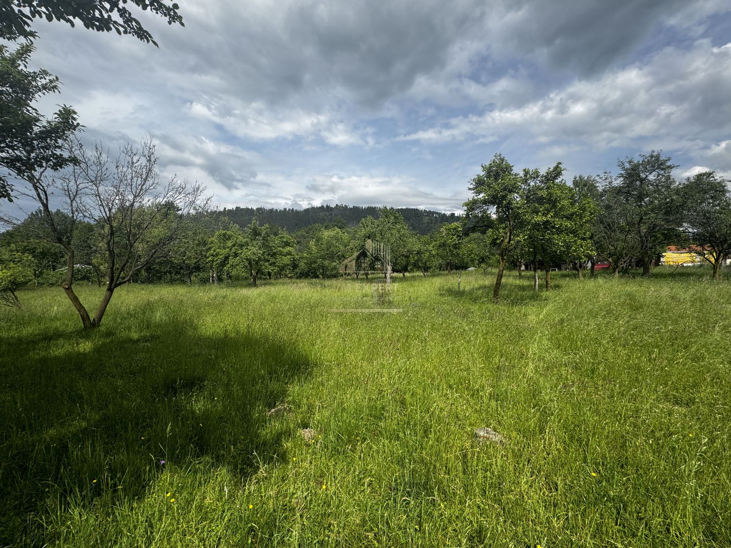 TEREN INTRAVILAN 4600 MP, VOINESTI, LERESTI, ARGEȘ - Poză 1