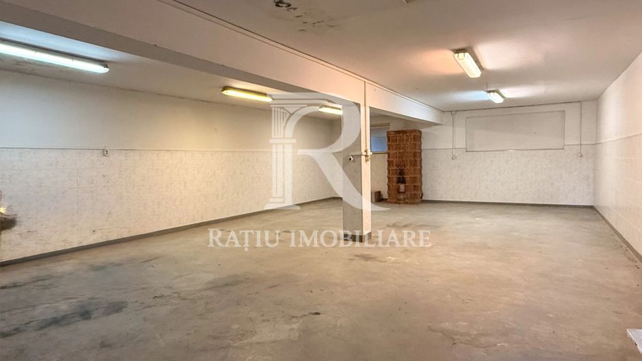 Casă cu Hală Industrială | Teren 3.200 mp | Ineu | Bihor - Poză 21