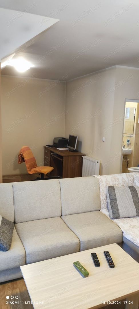 Apartament cu 1 camera Sagului-Elisabetin - Poză 4