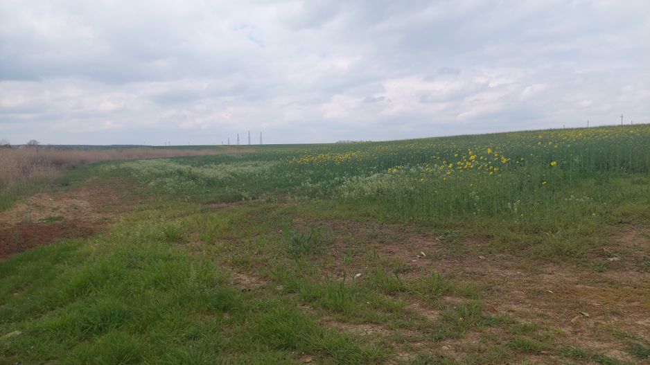 Teren 12,984mp Balotesti / Strada Albinelor - Poză 1