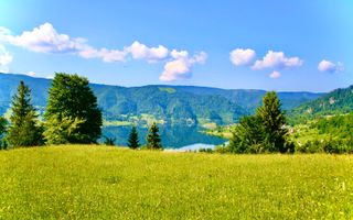 Teren intravilan de vanzare - Colibita - Poză 7