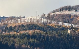 VILA 4 CAMERE, LERESTI, TEREN 3489 MP COMISION 0% CUMPARATOR - Poză 28