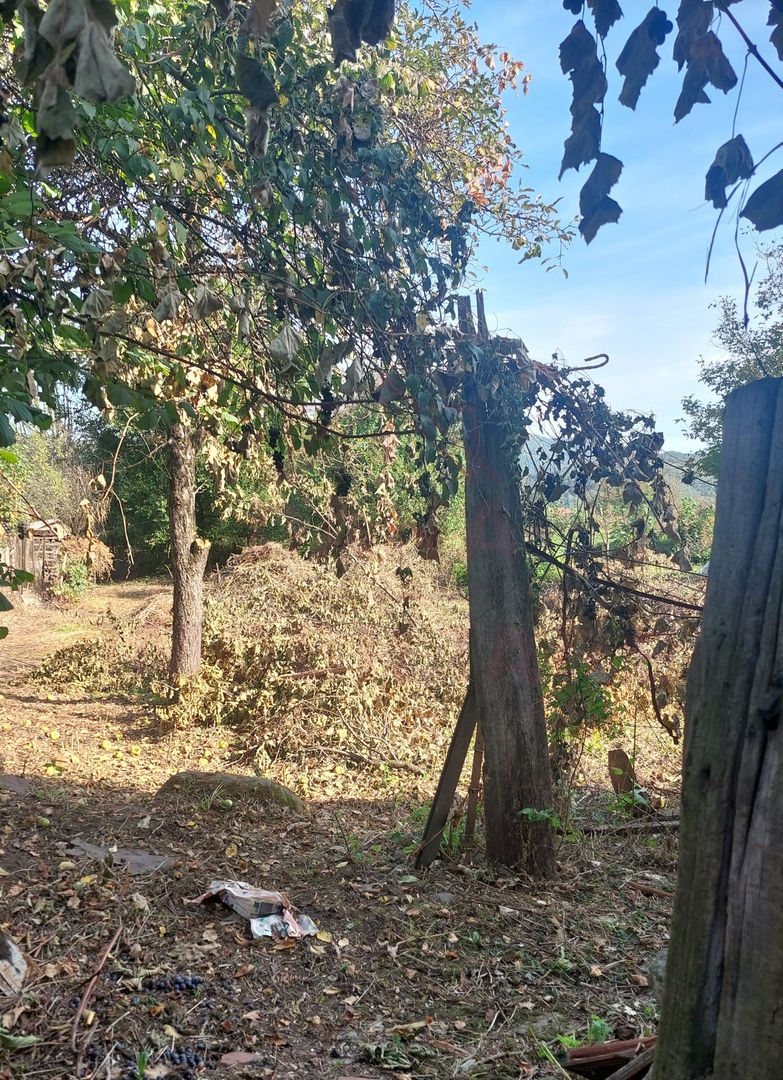 CASĂ DE VÂNZARE 2 CAMERE\ ZĂVOI\ JUD. CARAȘ-SEVERIN - Poză 3