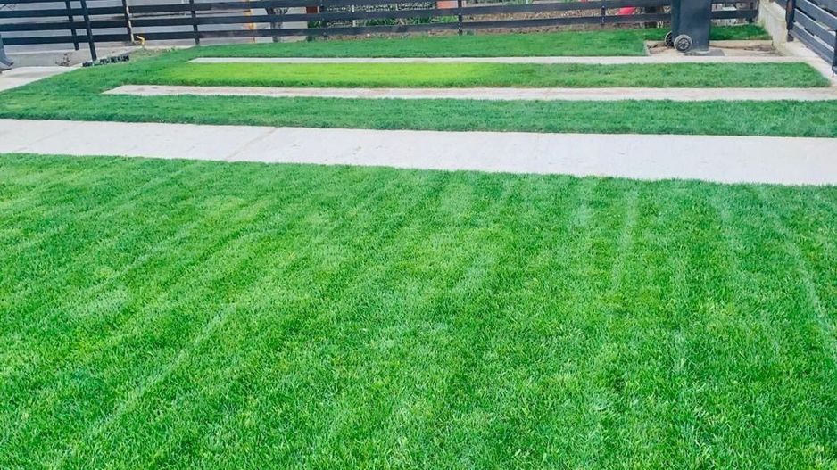 Vila deosebita,zona Hlincea - Poză 5