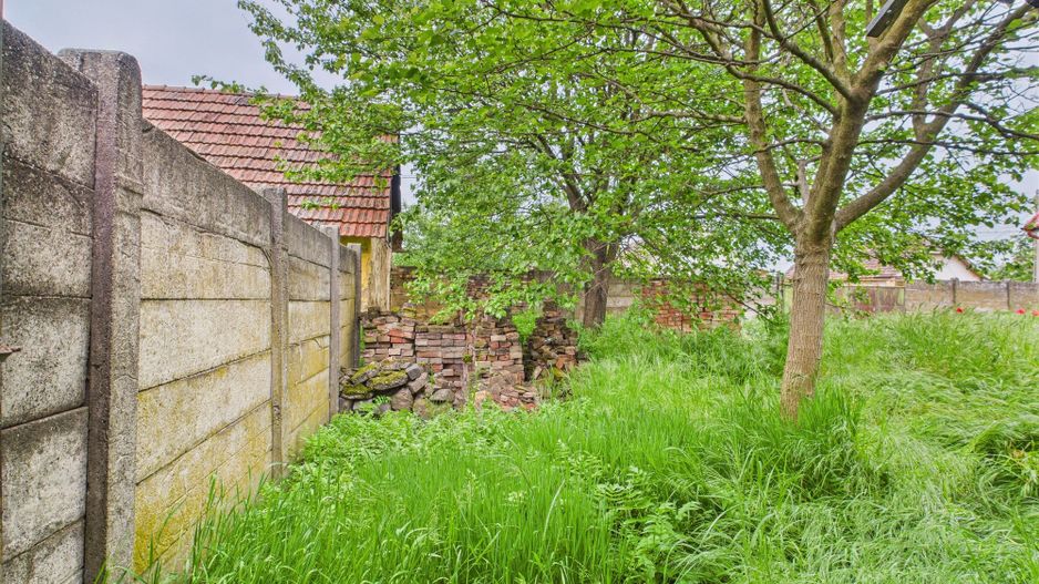 Casă de reabilitat pe teren generos- Comuna Variaș - Poză 22