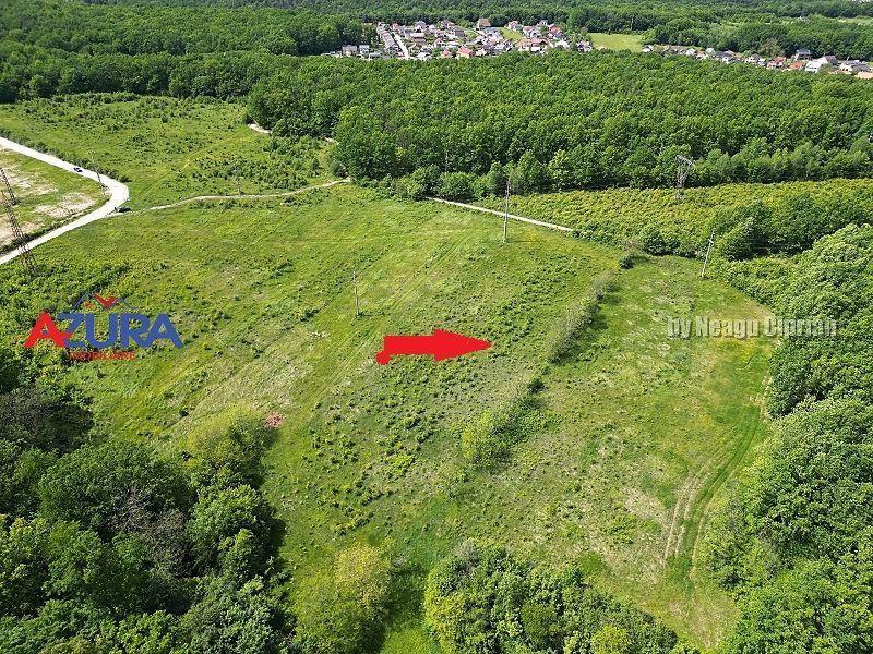 Vanzare teren Balotesti, la padure - Poză 5