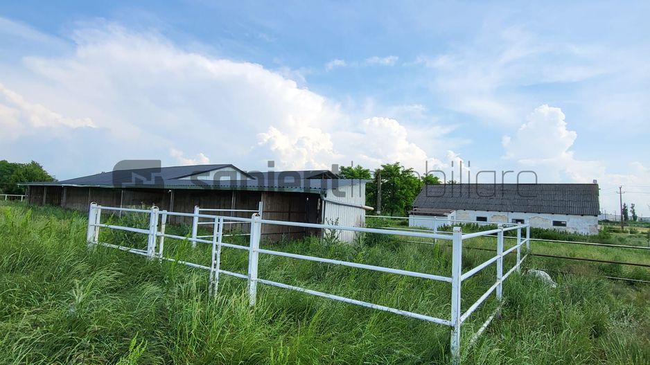 FERMA ZOOTEHNICA DE VANZARE - Poză 8