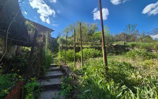 Casa langa Gradina Zoologica - Poză 8