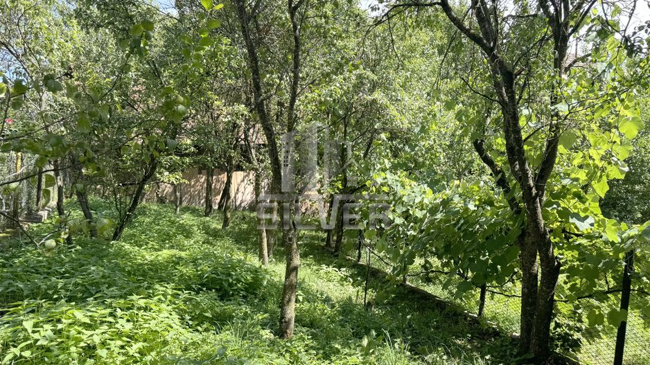 Casa individuala in Com. Capusu Mare/Sat Dumbrava. - Poză 8