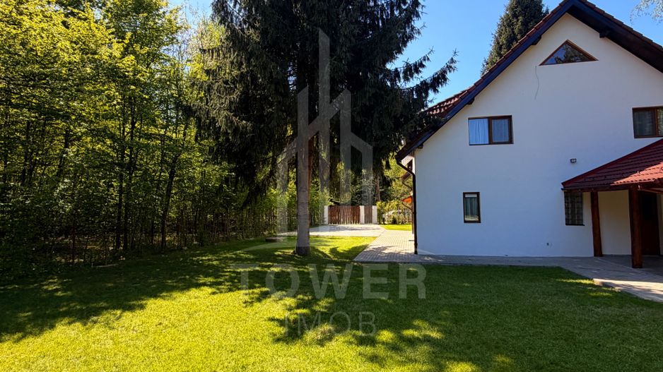 Casă de vacanță noua-Valea Avrigului - Poză 3