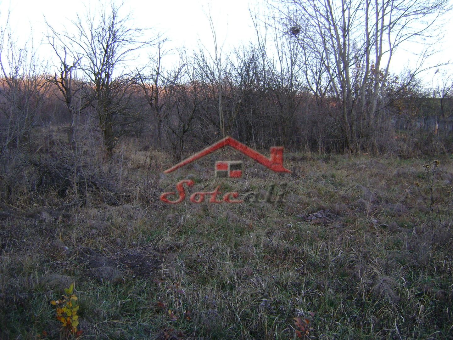 Teren de vanzare Cornu de Jos - Poză 3