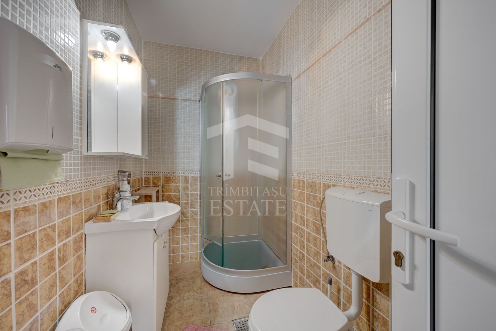 3 IMOBILE - LOT 676 MP - RECONSOLIDATE - ROMANA VICTORIEI - DOROBANTI - Poză 3