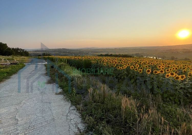 Teren intravilan ,Barnova ,Iași, 834 mp, priveliste panoramica deosebita,langa padure! - Poză 6