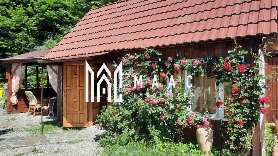 Pensiune de vânzare I Transfăgărășan, Cărțișoara, jud. Sibiu - Poză 15