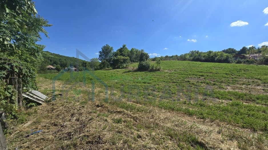 Casă cu teren de 1,4 hectare și vie, în Raducaneni - 3 camere - Poză 3