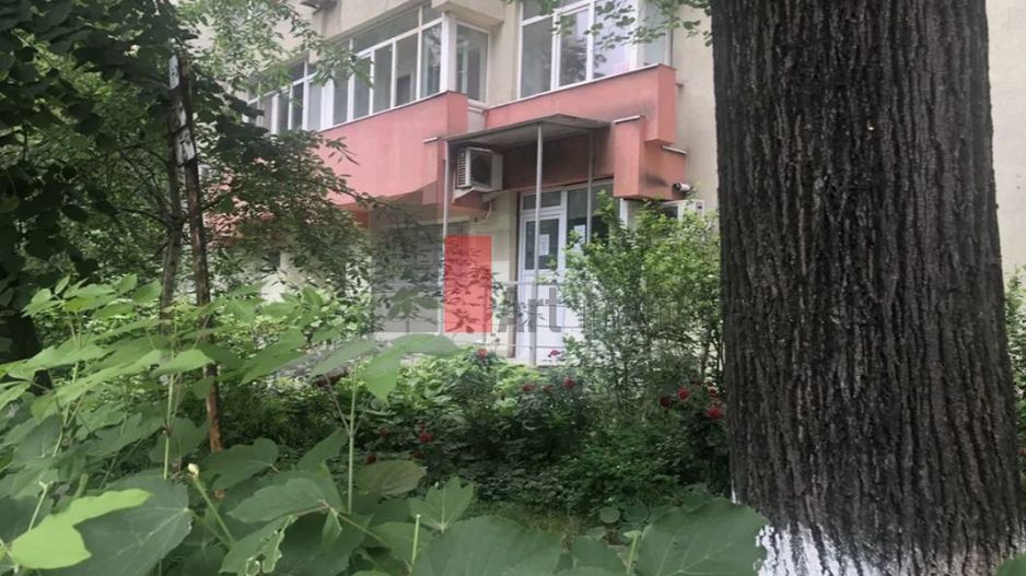 APARTAMENT 3CAMERE- TEIUL DOAMNEI - Poză 2