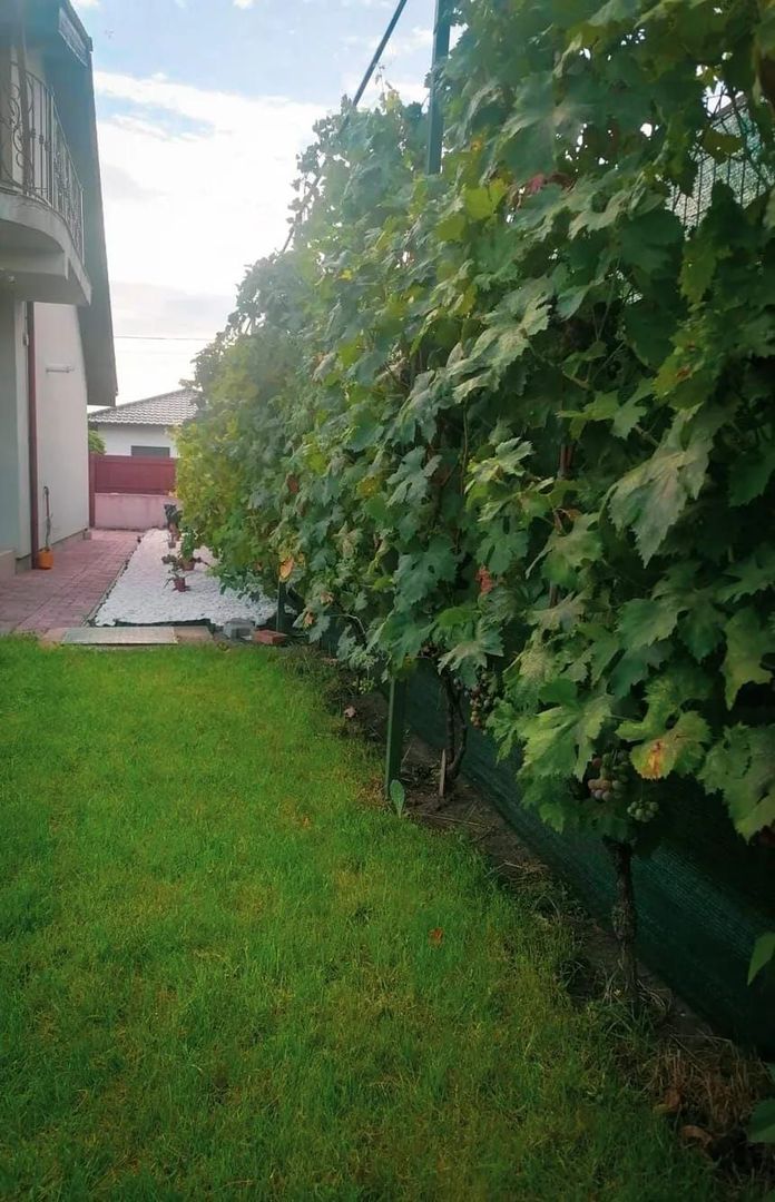 Casa cu garaj in Dumbravita - Poză 12