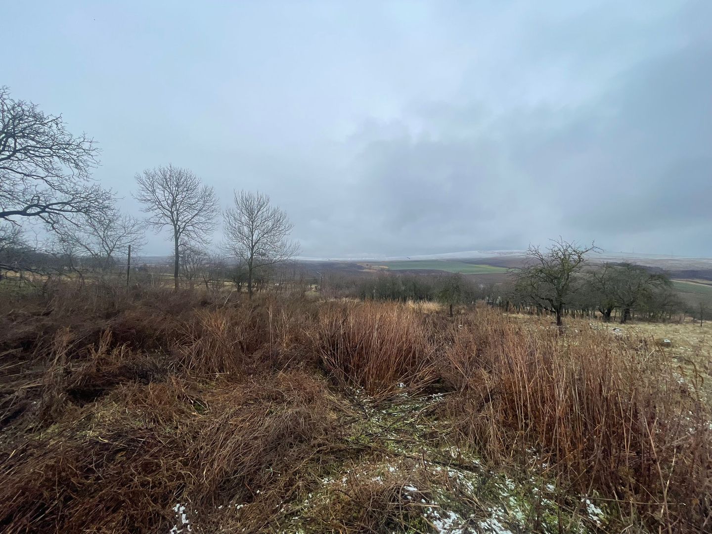 Casa Demolabila | Rediu | Teren 3278 mp | Posibiliate parcelare - Poză 7