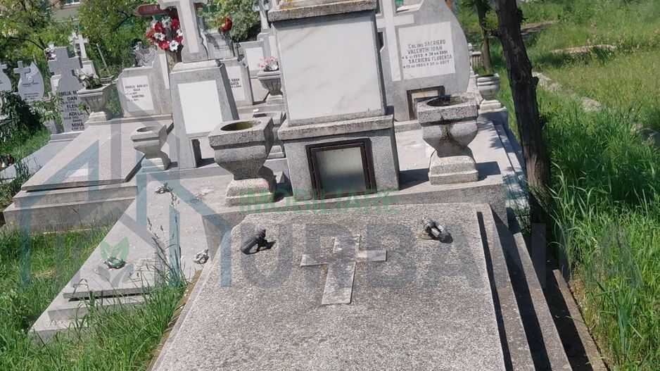 Loc de veci cu criptă, Cimitirul Sfânta Treime, Parcela 18, Păcurari, Iași - Poză 1
